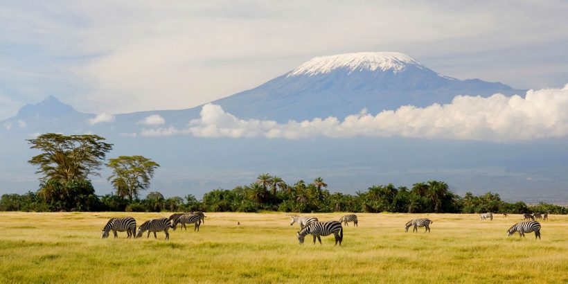 kilimanjaro